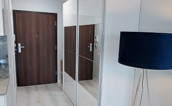 wejście
