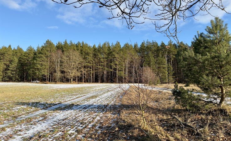 działka na sprzedaż - Bierzwnik, Wygon