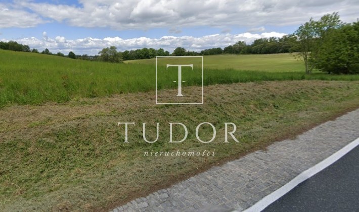 działka siedliskowa